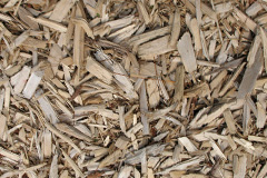 biomass boilers Bransgore
